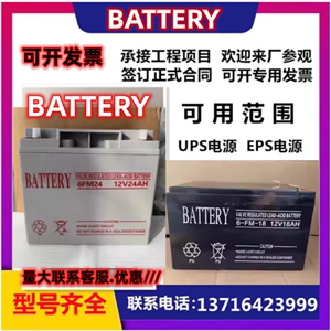 BATTERY蓄电池6-FM-55 12V55AH7AH24A33AH18A应急照明集中36V电源