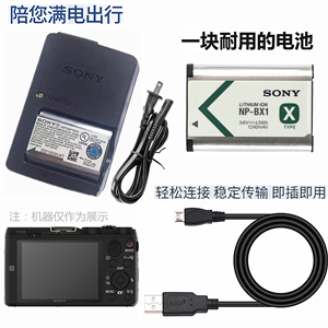 适用索尼DSC-HX50 HX60 HX90 HX99照相机电池+充电器+数据线NPBX1