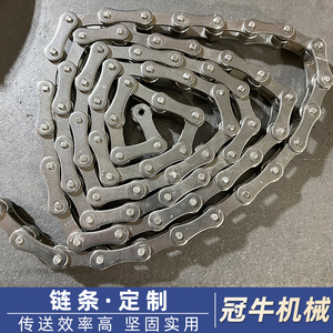 304不锈钢工业传动链条尼龙滚珠输送链单孔双孔弯板导轮滚子链条