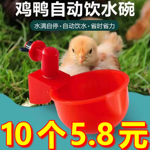 鸡鸭自动饮水器小鸡喝水喂水器鸡水壶喂鸡神器家禽用养鸡设备用品