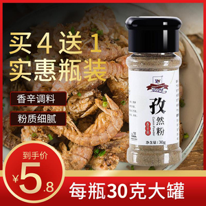 烧烤调料配料烤肉孜然调味料孜然粉椒盐撒料秘制配方材料单个装