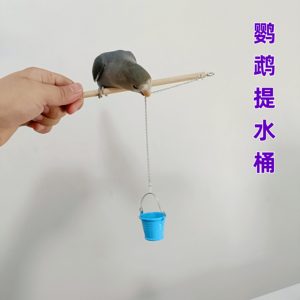鹦鹉智力玩具训练道具提水桶小号虎皮牡丹玄凤均可以玩