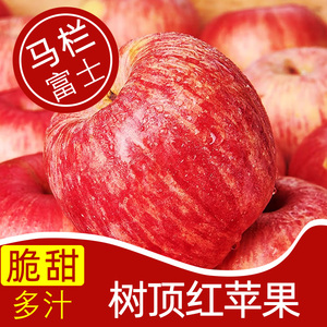 苹果红富士咖喱果又甜又脆的嗄啦富士水晶咸阳马栏树顶红溏心福士