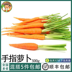 新鲜去叶手指萝卜500g水果萝卜迷你萝卜即食沙拉食材脆甜红胡萝卜