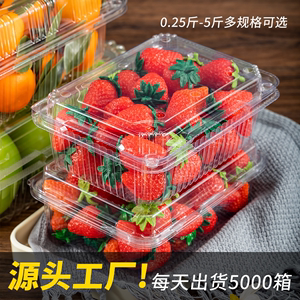一斤装水果店包装盒一次性透明塑料带盖打包盒子整箱草莓西瓜500g