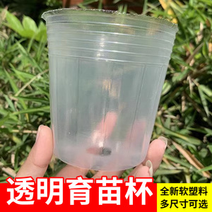 育苗杯塑料营养杯蝴蝶兰专用种植杯兰花栽培育苗透明塑料盆营养钵