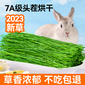 提摩西草兔子干草食用兔粮北提草饲料牧草荷兰猪龙猫23年烘干粮草