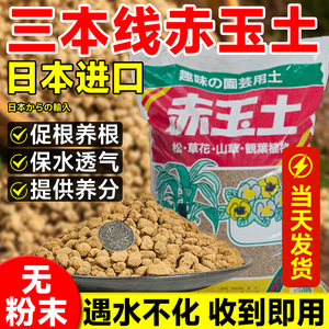 赤玉土三本线日本进口正品硬质颗粒大包装盆景专用爬宠多肉铺面石