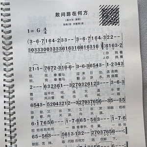 有声歌谱经典流行音乐书书活页曲谱歌本歌词大全歌曲歌词本乐谱