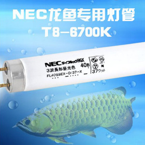 NEC鱼缸灯龙鱼灯红龙鱼金龙鱼专用灯增色发色灯烤色灯管日本6700K