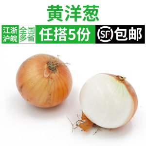 黄皮大洋葱约500g 农家蔬菜 白洋葱 黄葱头 圆葱 新鲜香料食材