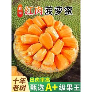 越南红肉菠萝蜜新鲜当季精品6-18斤红黄菠萝蜜一整个现货包邮