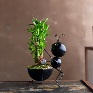 铁艺蚂蚁盆栽摆件清香木富贵竹创意绿植盆景家居客厅装饰办公室