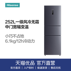 Hisense/海信 BCD-252WYK1DPUJ 三门 风冷无霜智能小型家用冰箱