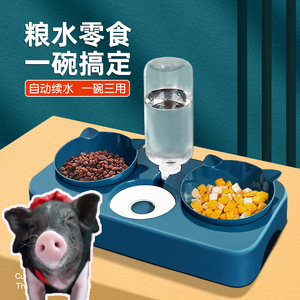 小香猪喂食器饮水器宠物小猪专用食盆饭碗喂水泰国迷你小香猪用品