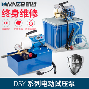 DSY-25 60 100手提式电动试压泵PPR水管道试压机双缸打压泵打压机