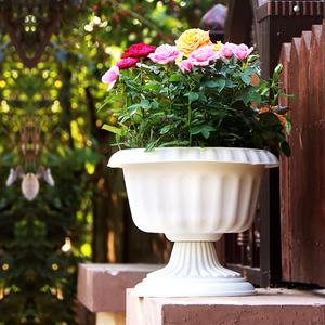PP树脂杯型花盆花卉绿植盆栽塑料花盆家用种花欧式复古仿酒杯花盆