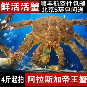 4-10斤阿拉斯加皇帝蟹鲜活帝王蟹海鲜超大霸王蟹大龙虾螃蟹面包蟹