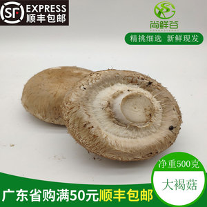 新鲜褐菇 牛排菇1斤 珍宝菇 波多黎菌 贵啡菇香啡菇大菇9公分以上