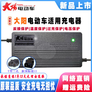 大阳电动车智能充电器48V12AH60V45AH72伏50安20AH84V96V20三轮车