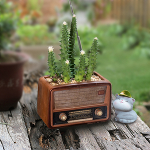 多肉花盆个性复古老式收音机创意桌面盆栽摆件组合套装DIY微景观