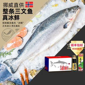 掌鲜生活 挪威进口冰鲜三文鱼整条10-13斤新鲜大西洋鲑鱼刺身中段