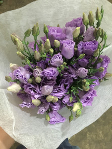 情人节鲜花洋桔梗鲜花 浅紫色 家用鲜花插花婚庆布置送礼配花