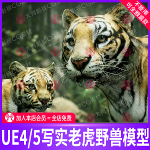 UE5虚幻引擎写实猫科动物老虎动画模型工程文件ue4大猫喝水转弯走