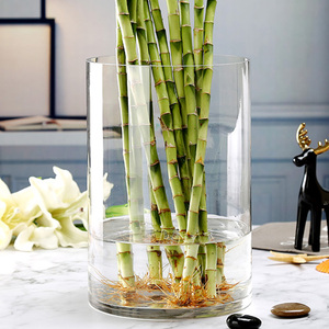 简约水竹玻璃花瓶透明宽口大口富贵竹银柳圆柱直筒家用落地花器