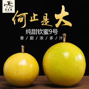 刘老根 纯甜海南钦蜜9号黄金百香果一级大果5斤黄皮新鲜特级水果