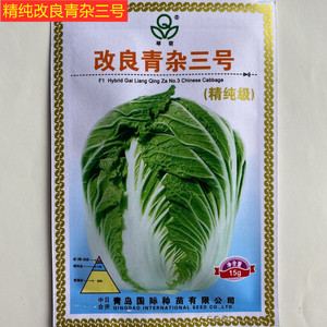 精纯改良青杂三号大白菜种子胶菜种子高产蔬菜基地青岛国际