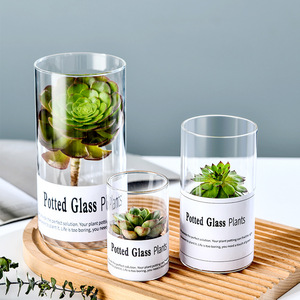 简约多肉玻璃花盆ins风桌面水培植物透明欧式盆栽玻璃小花瓶