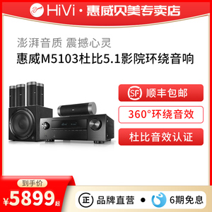 Hivi/惠威 M5103家庭影院5.1声道音响套装壁挂音响客厅电视环绕