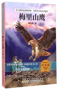 正版库存动物小说大王沈石溪自选精品集梅里山鹰升级版沈石溪著无