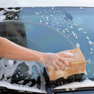 洗车海绵珊瑚蜂窝泡棉擦车泡沫汽车美容清洁去污用品高密度吸水棉