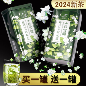 广西横县茉莉花茶新茶茉莉花绿茶特级浓香型茶叶共500克横州