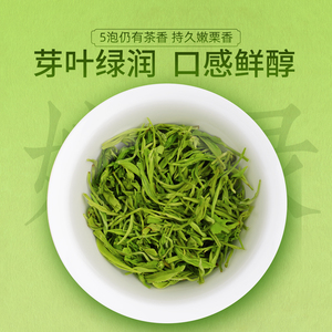 茶2特0g24新茶千山茶业宁强绿炒青级毛尖嫩芽春茶UDY200自饮装茶