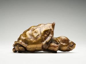 博物志铁拳匠造 乌龟系列第二弹孤独的乔治小憩憩 加拉帕戈斯象龟