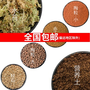 兰花水苔 淘宝拼多多热销兰花水苔货源拿货 阿里巴巴货源