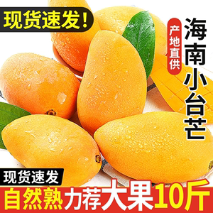 精选海南小台农芒果10斤新鲜小台芒当季特产水果现摘芒果大果整箱
