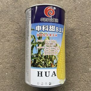 华耘申科甜811水果玉米种子 超泰太阳花大棒耐热甜脆甜玉米种子籽