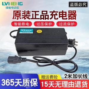 适用绿能电动车电瓶充电器36V12AH48V20AH60V30AH72V32AH