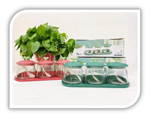 玻璃调味罐三件套装礼盒调料罐厨房用品员工福利客户礼品定制LOGO
