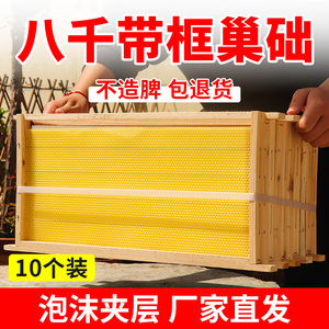 正品八千带框巢础中蜂成品巢框蜂巢基杉木带框蜂蜡片巢脾养蜂工具