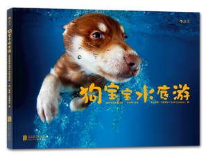 狗宝宝水底游9787550278110北京联合[美]赛斯·卡斯蒂尔