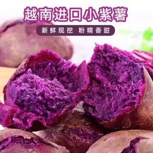 2024正宗越南小紫薯新鲜紫心红薯板栗薯番薯地瓜小个珍珠紫薯10