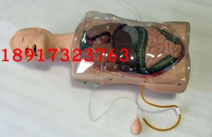 三腔二囊管训练模型鼻胃管训练模型二囊管训练模型透明洗胃模型
