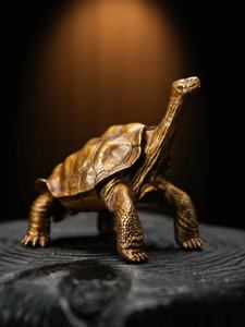 博物志铁拳匠造 乌龟系列第四弹 昂首加拉帕戈斯象龟 孤独的乔治