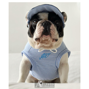 一只全球狗狗原创设计夏款薄背心T恤纯棉法斗恶霸巴哥英斗胖狗衣