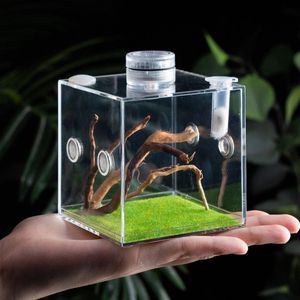 蟋蟀油葫芦带灯养殖箱马蛉电报罐鸣虫生态盒加湿透气塑料箱饲养箱
